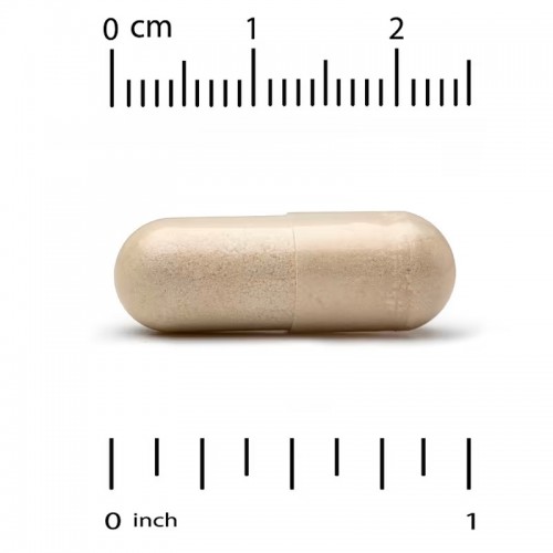 Lake Avenue Nutrition, Серрапептаза, протеолитический фермент, 120 000 SPU, 30 растительных капсул Lake Avenue Nutrition, Серрапептаза, протеолитический фермент, 120 000 SPU, 30 растительных капсул
