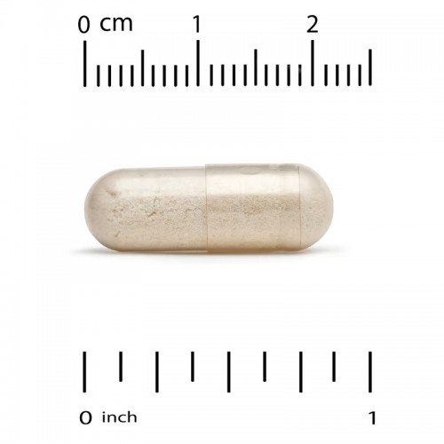 California Gold Nutrition, стабилизированная R-липоевая кислота, 120 растительных капсул California Gold Nutrition, стабилизированная R-липоевая кислота, 120 растительных капсул