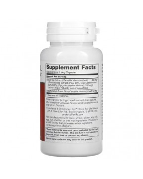 Protocol for Life Balance, EGCG, экстракт зеленого чая, 200 мг, 90 вегетарианских капсул