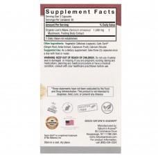 Nature's Answer, ежовик гребенчатый, 90 вегетарианских капсул (500 мг в 1 капсуле)