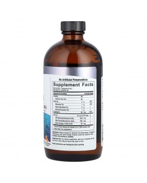 Nature's Answer, омега-3 в жидкой форме, жир глубоководных рыб с ЭПК и ДГК, со вкусом апельсина, 480 мл (16 жидк. унций)