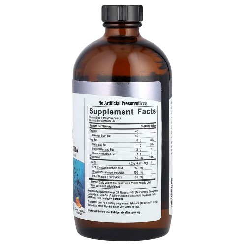 Nature's Answer, омега-3 в жидкой форме, жир глубоководных рыб с ЭПК и ДГК, со вкусом апельсина, 480 мл (16 жидк. унций)