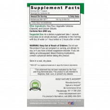 Nature's Answer, Наттокиназа, 100 мг, 60 вегетарианских капсул